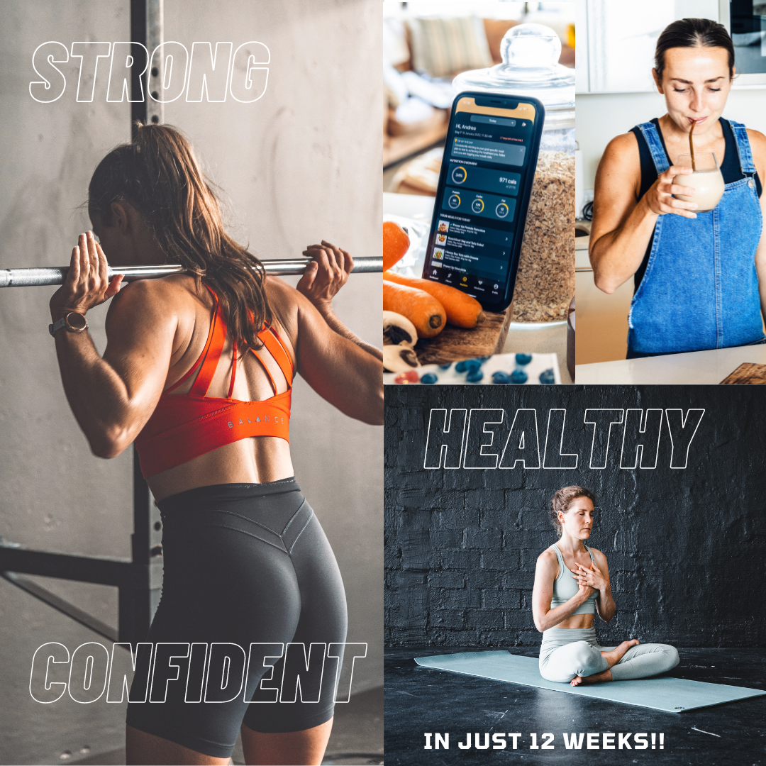 Omnivana 6 Month Coaching Program